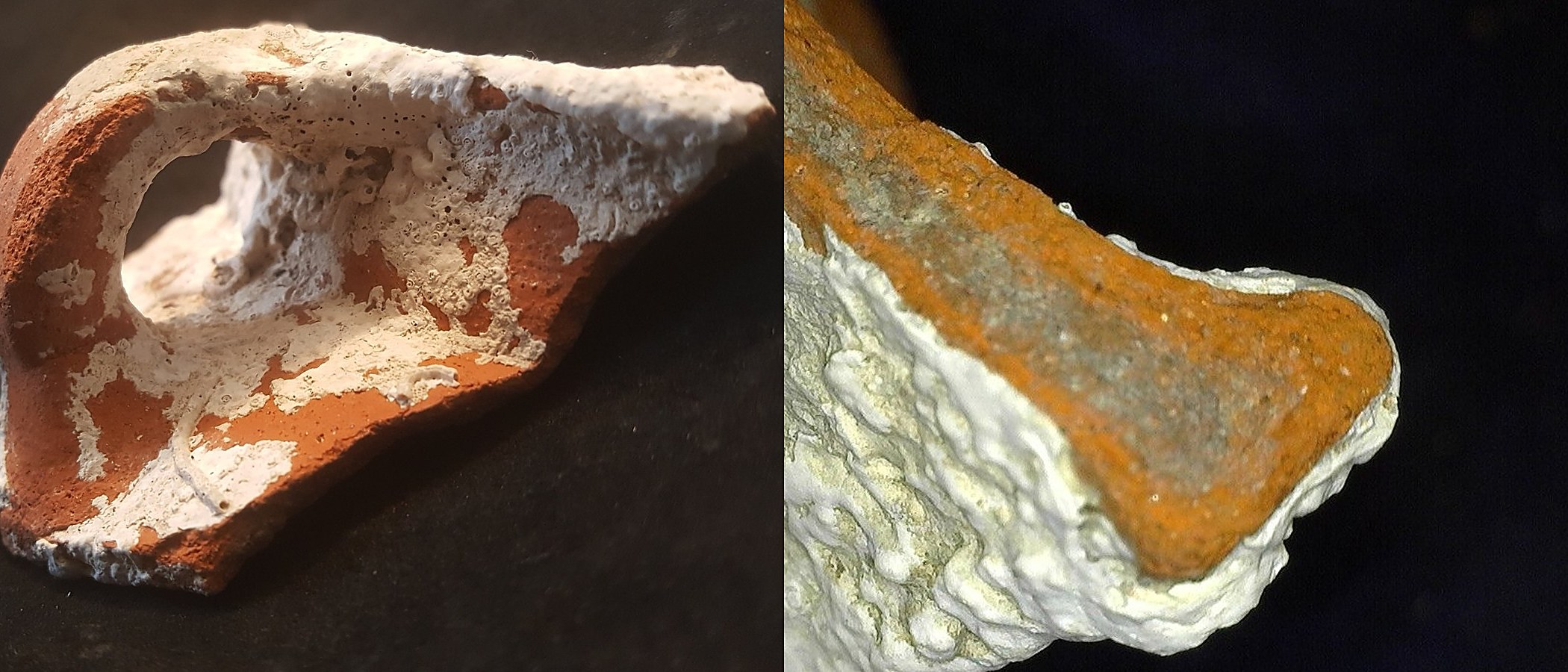 Handle of a cooking pot and its fresh break, both partly covered by white marine encrustation