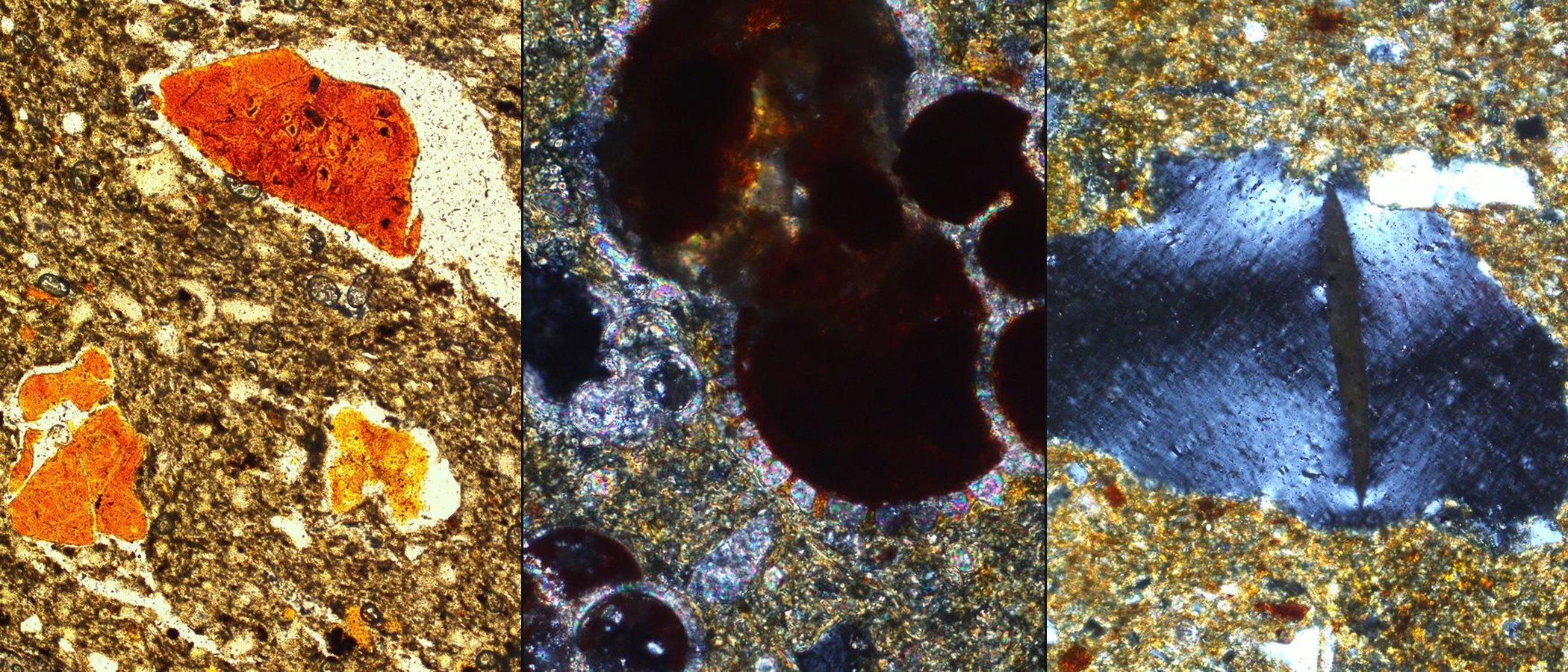 Three thin sections under crossed polarizers
