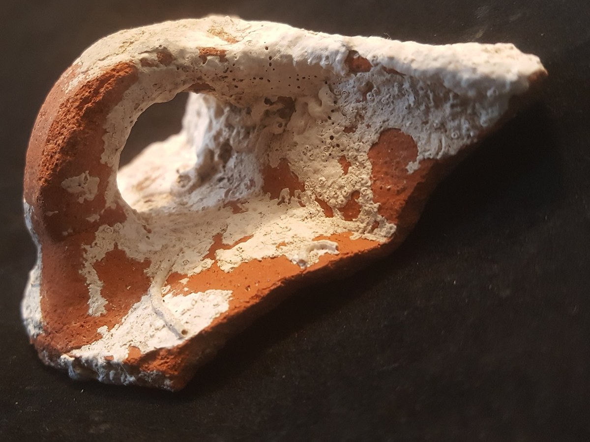 Handle fragment in red fabric, partly covered by white marine encrustation