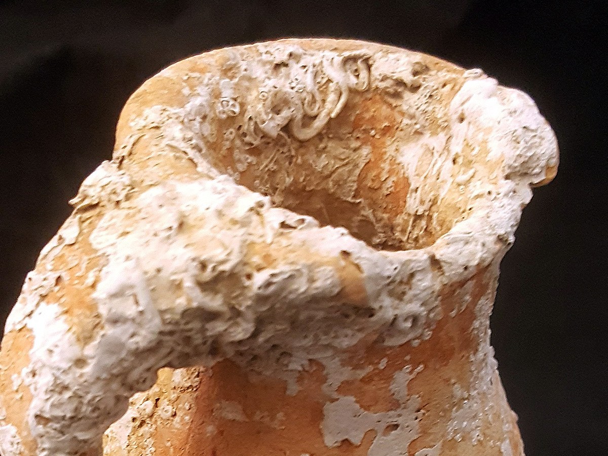 Rim and handle of a small vessel with worm tubes and marine encrustation