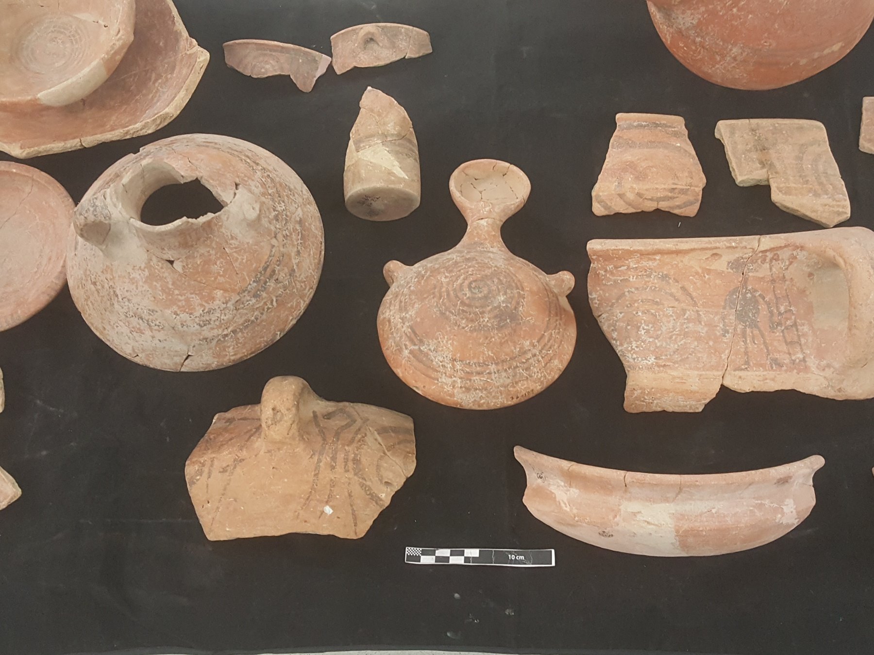 Decorated sherds laid out on black cloth